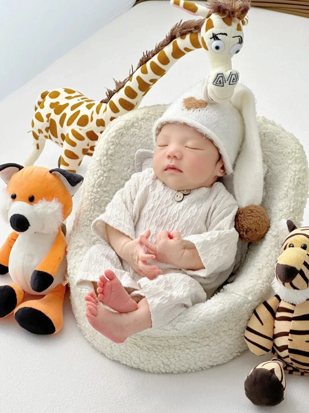 Giấc ngủ bình yên bên những người bạn thú bông xinh xắn đáng yêu.