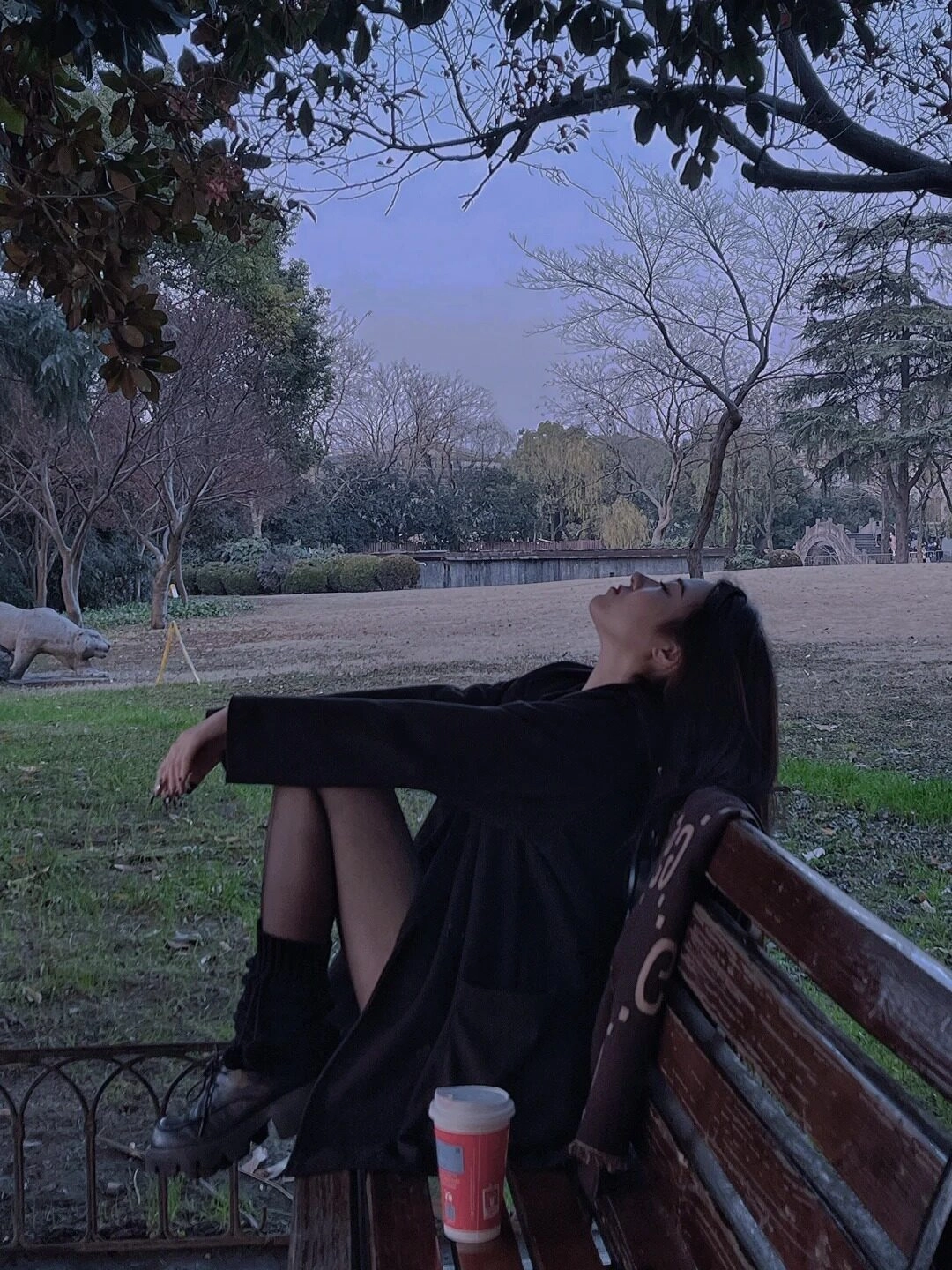 Gió lạnh công viên vắng, cô gái thu mình bên ly cà phê bỏ quên.