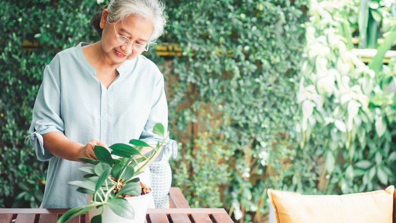 50+ lời chúc sinh nhật dành cho bác gái đầy ý nghĩa và vui vẻ