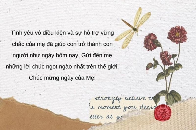 120+ Lời Chúc Ngày Của Mẹ Ngắn Gọn – Yêu Thương & Biết Ơn