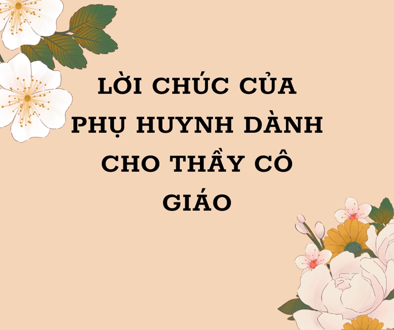 Tổng hợp 50+ lời chúc phụ huynh dành cho cô giáo cuối năm – tri ân & biết ơn
