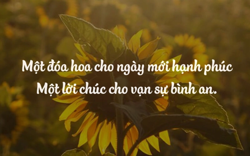 Thumbnail bài viết